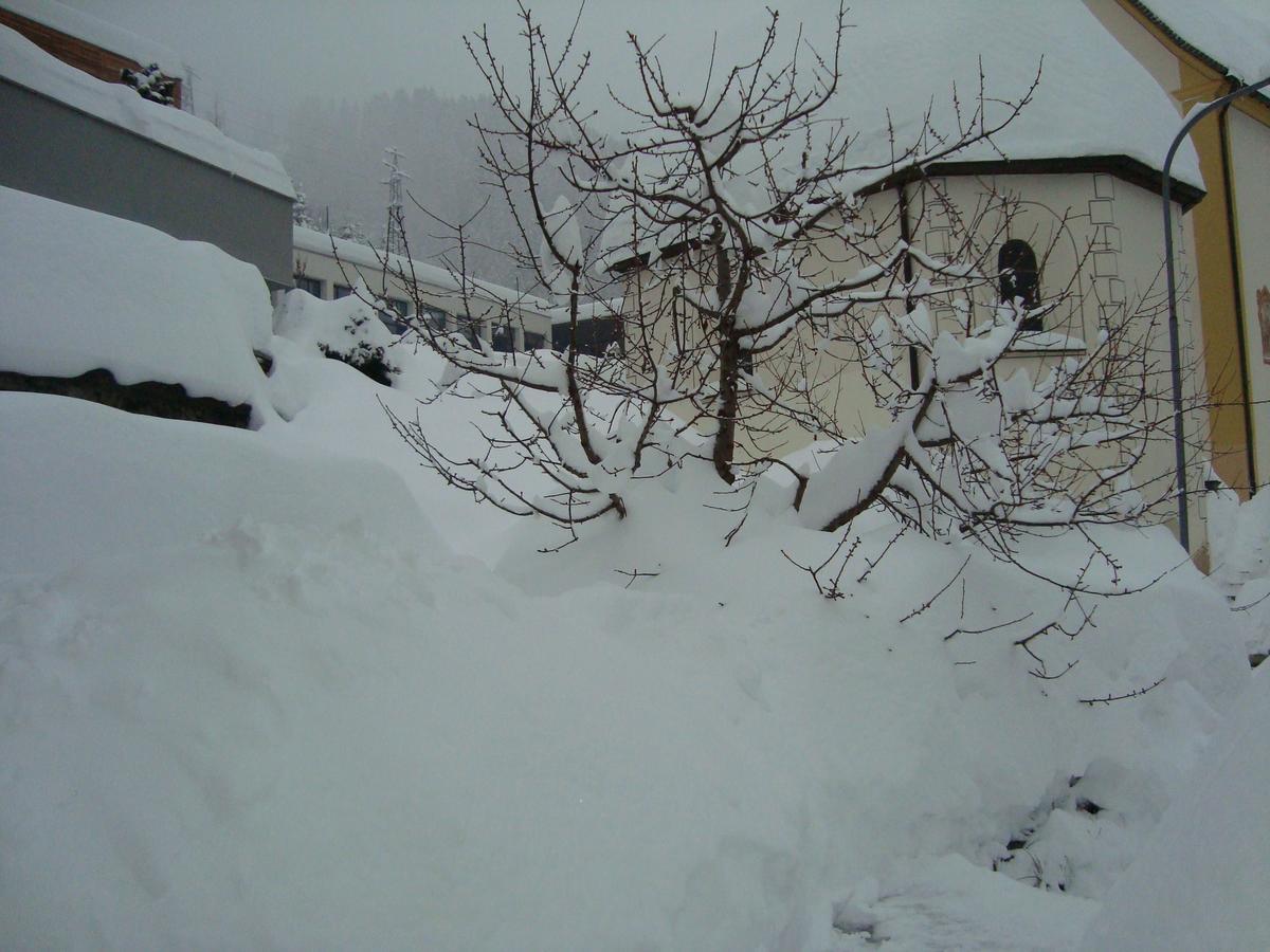 Haus Wechner Otel Kappl  Dış mekan fotoğraf